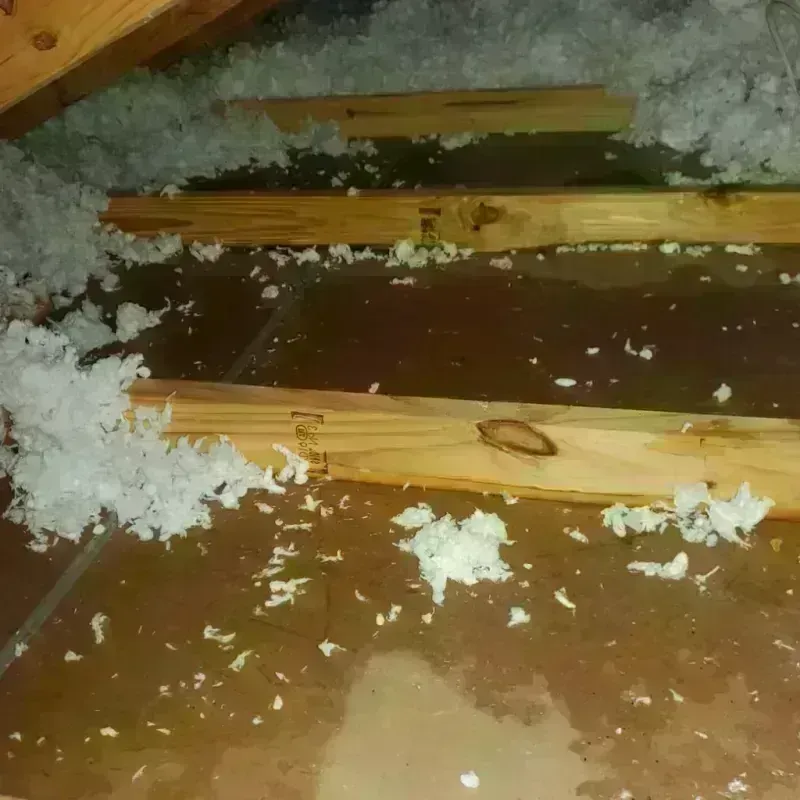 Attic Water Damage in Herndon, VA